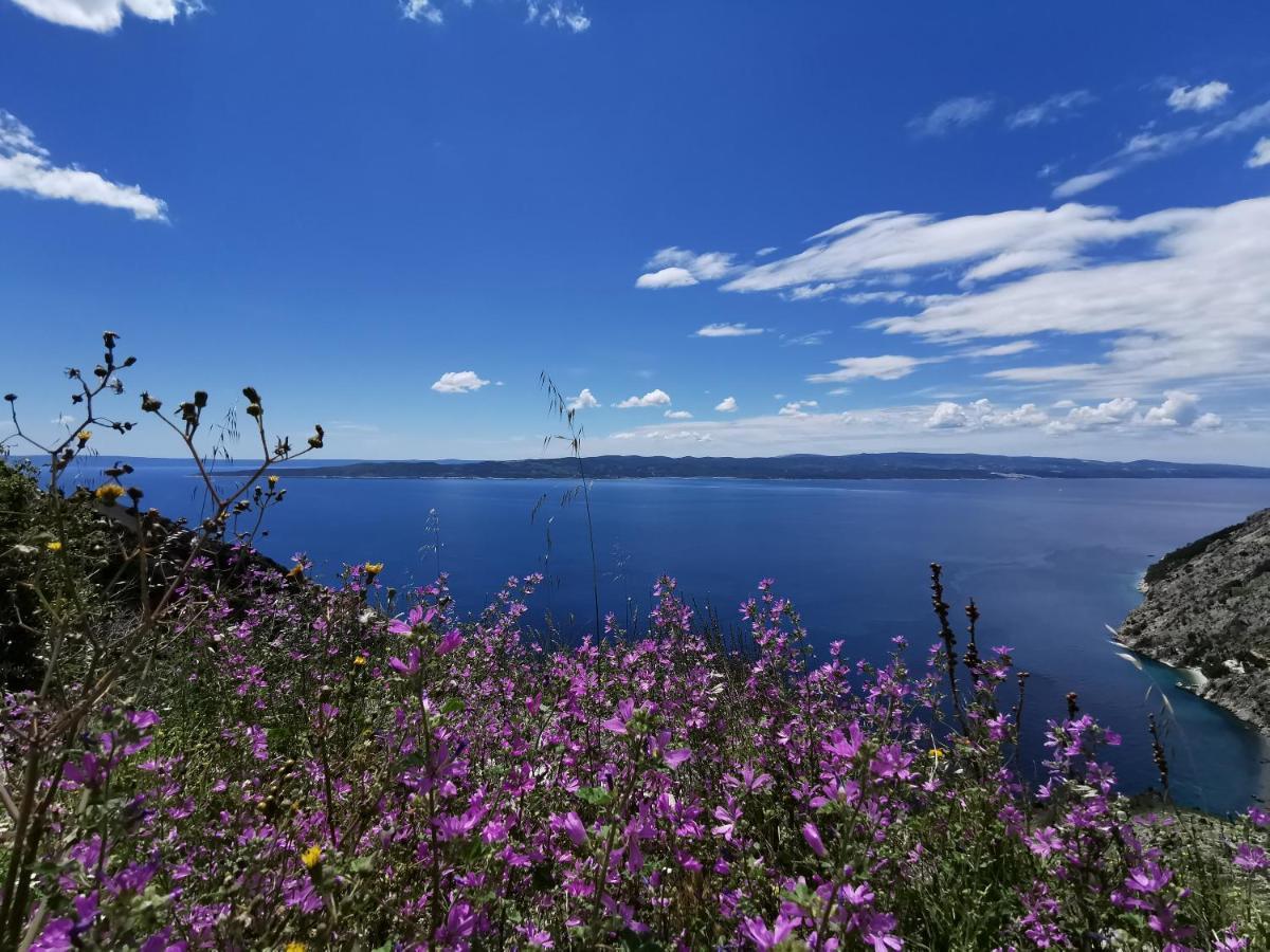 Apartments Deak Makarska Zewnętrze zdjęcie